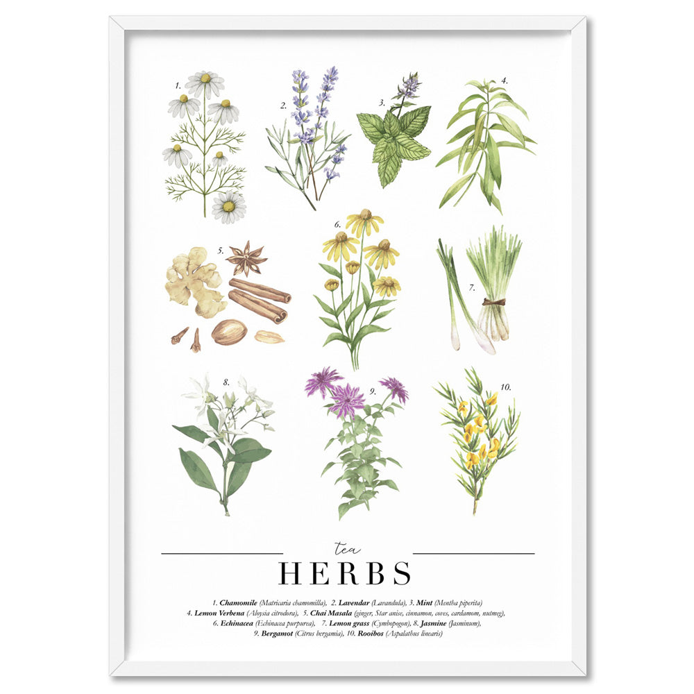Tea Herbs Chart - Art Print, Poster, Stretched Canvas, or Framed Wall Art Print, shown in a white frame