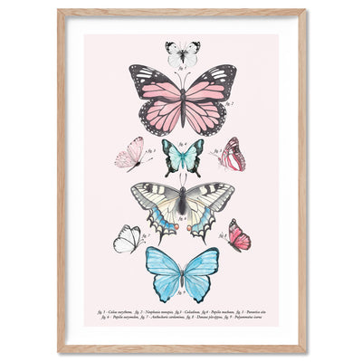Pastel Boho Butterfly Chart - Art Print, Poster, Stretched Canvas, or Framed Wall Art Print, shown in a natural timber frame