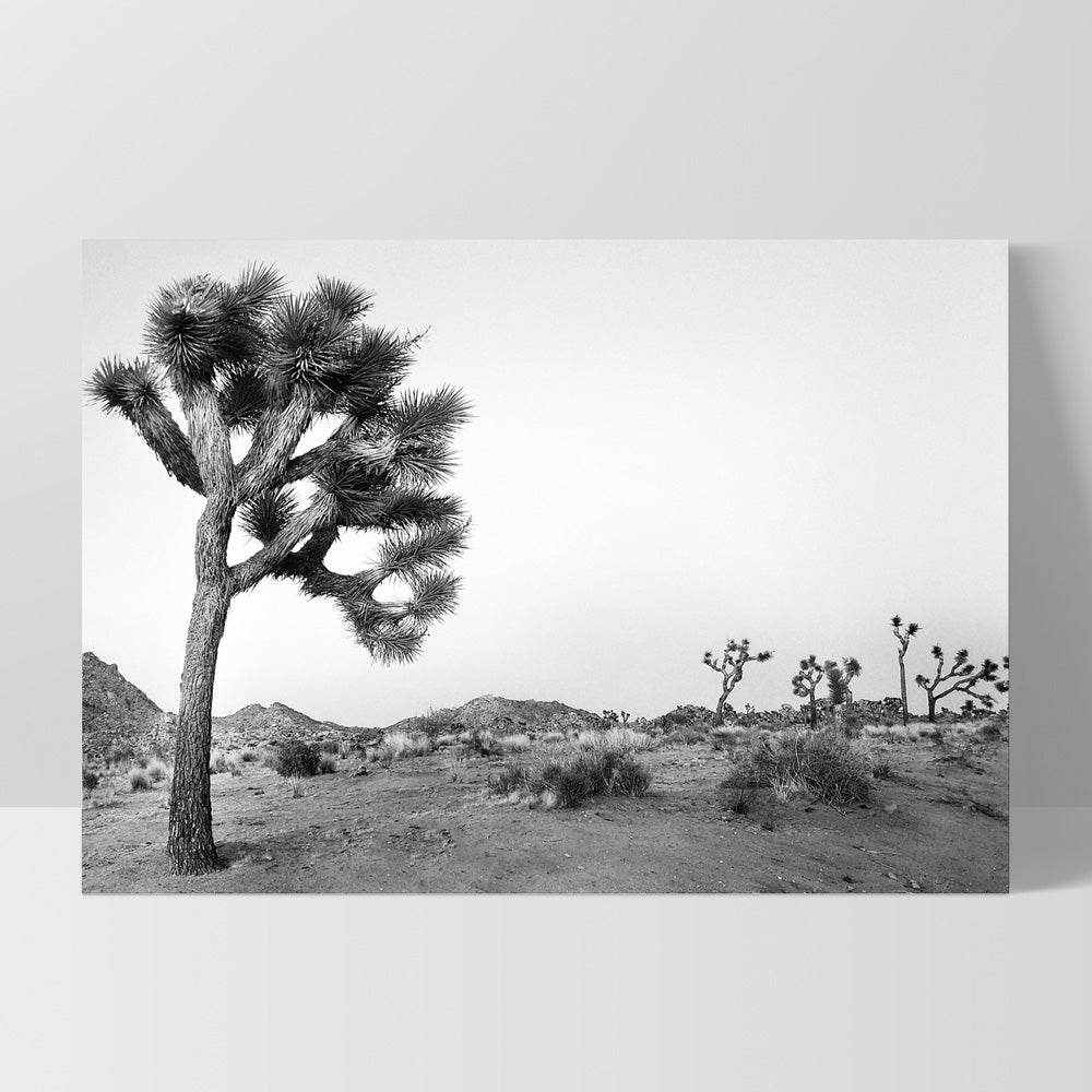 Joshua Tree Desert Landscape Black and White - Art Print, Poster, Stretched Canvas, or Framed Wall Art Print, shown as a stretched canvas or poster without a frame