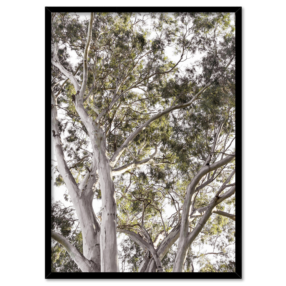 Gumtrees View I - Art Print, Poster, Stretched Canvas, or Framed Wall Art Print, shown in a black frame