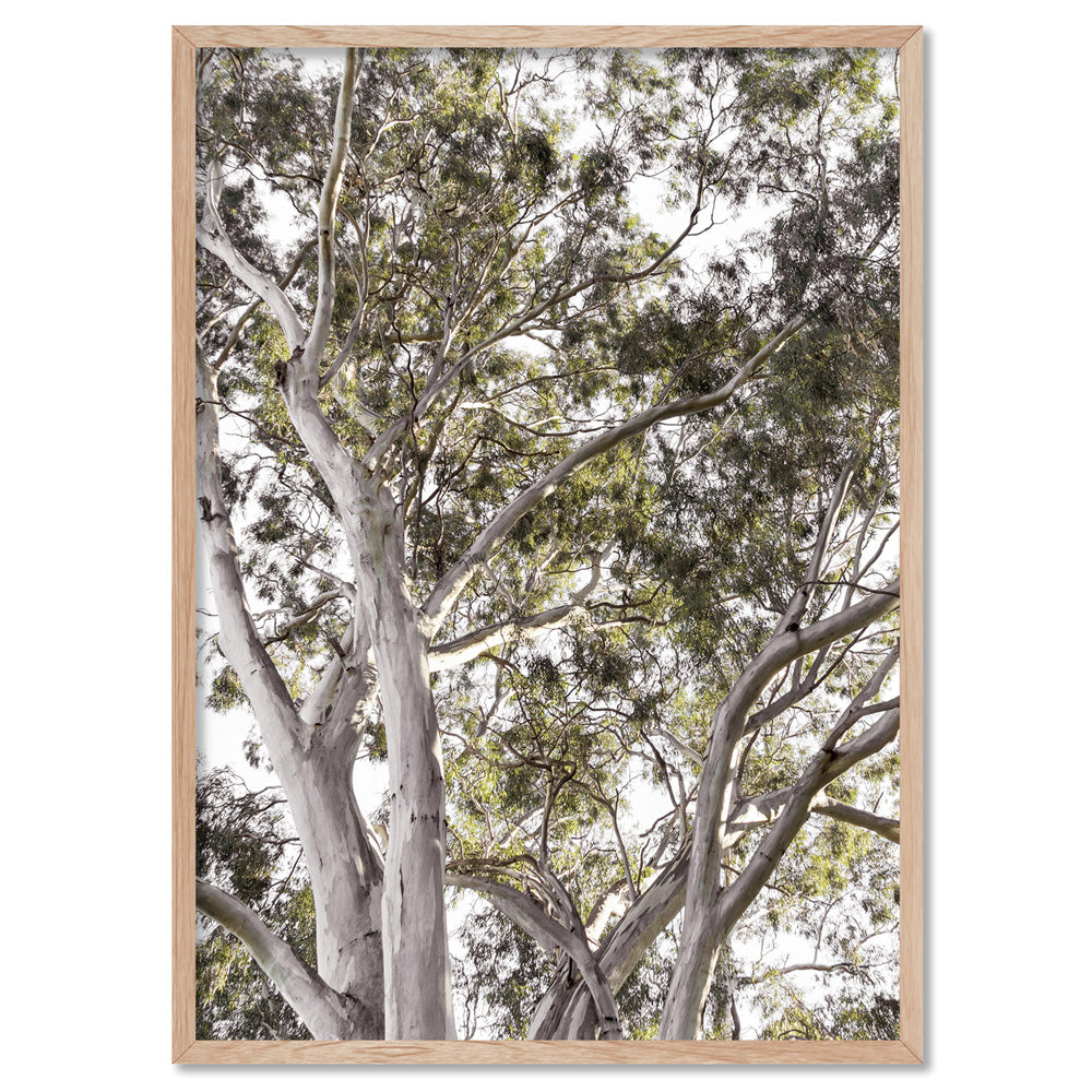 Gumtrees View I - Art Print, Poster, Stretched Canvas, or Framed Wall Art Print, shown in a natural timber frame