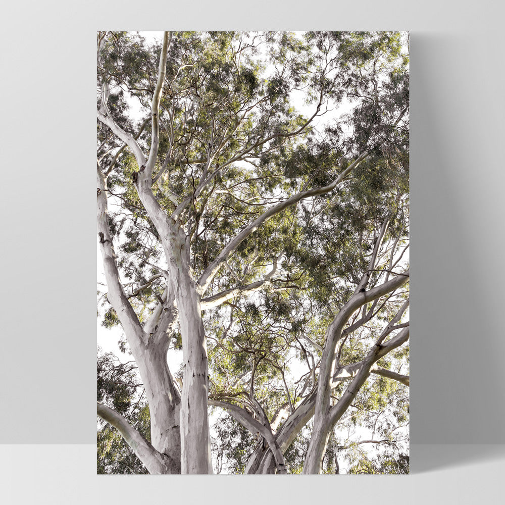 Gumtrees View I - Art Print, Poster, Stretched Canvas, or Framed Wall Art Print, shown as a stretched canvas or poster without a frame