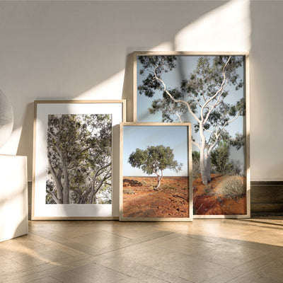 Gumtrees View I - Art Print, Poster, Stretched Canvas or Framed Wall Art, shown framed in a home interior space