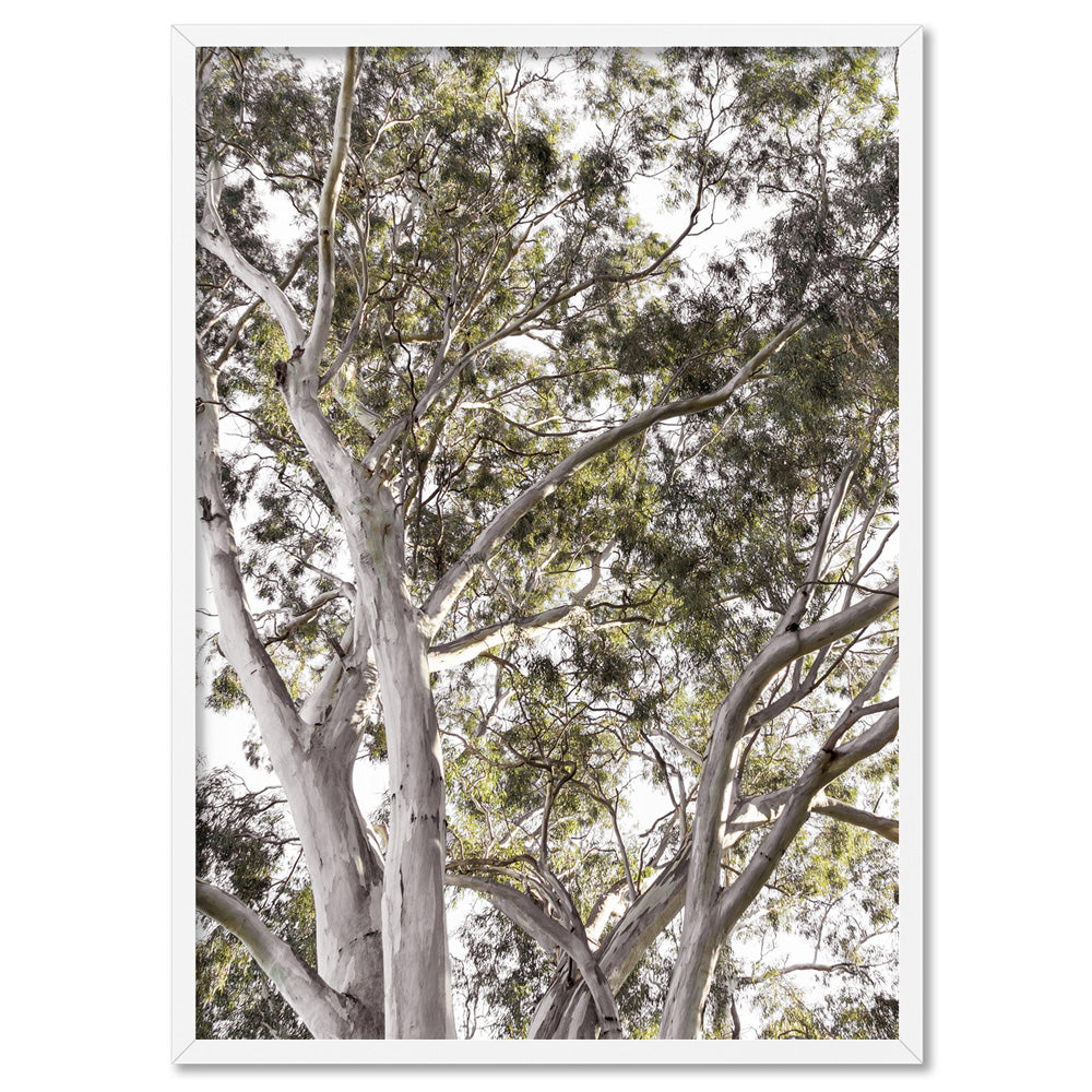 Gumtrees View I - Art Print, Poster, Stretched Canvas, or Framed Wall Art Print, shown in a white frame