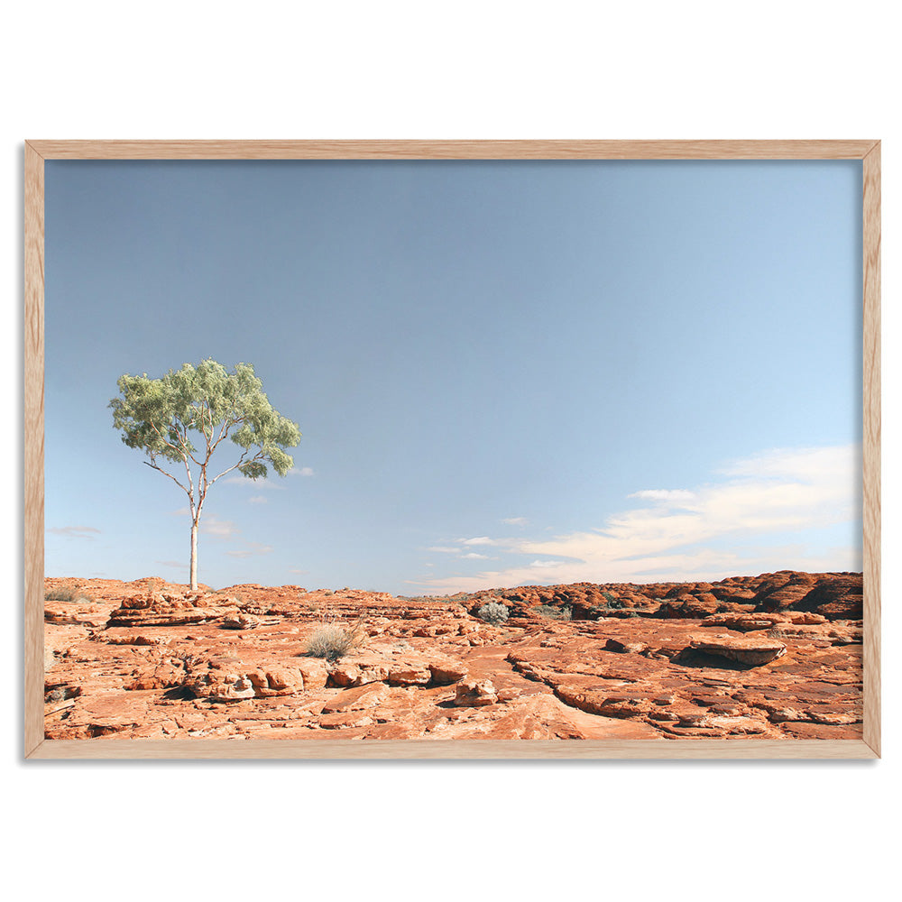 Lone Gumtree Outback View I - Art Print, Poster, Stretched Canvas, or Framed Wall Art Print, shown in a natural timber frame