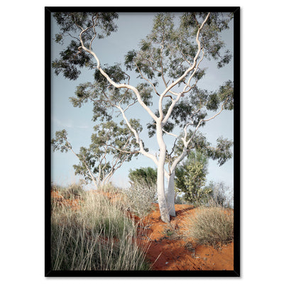 Ghost Gum on Red Earth - Art Print, Poster, Stretched Canvas, or Framed Wall Art Print, shown in a black frame