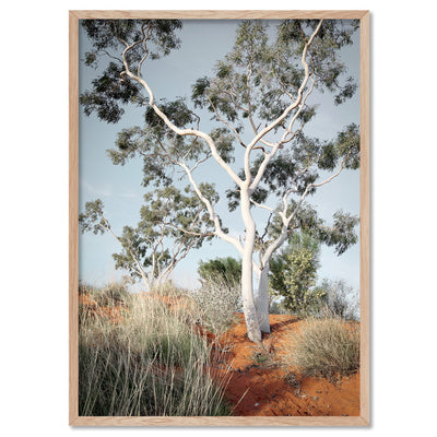 Ghost Gum on Red Earth - Art Print, Poster, Stretched Canvas, or Framed Wall Art Print, shown in a natural timber frame