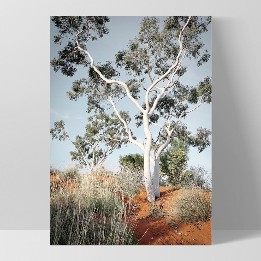 Ghost Gum on Red Earth - Art Print, Poster, Stretched Canvas, or Framed Wall Art Print, shown as a stretched canvas or poster without a frame