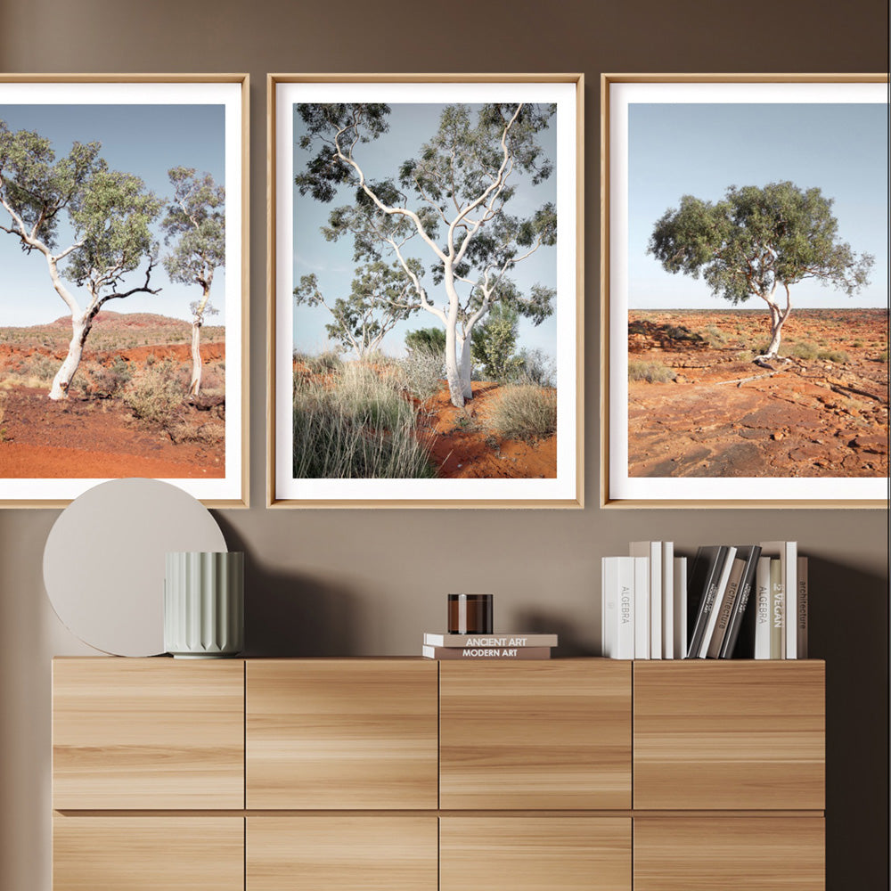 Ghost Gum on Red Earth - Art Print, Poster, Stretched Canvas or Framed Wall Art, shown framed in a home interior space