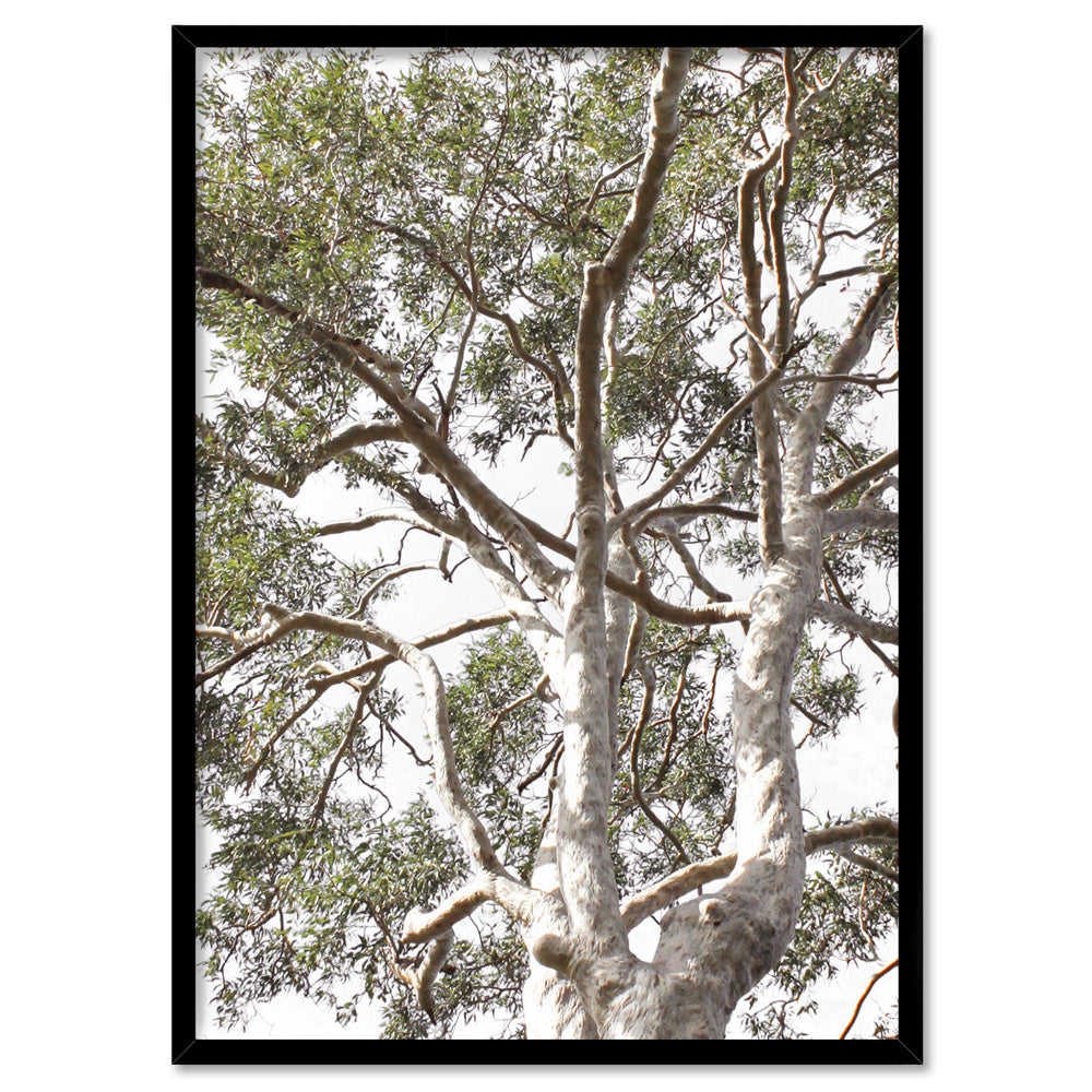 Gumtrees View II - Art Print, Poster, Stretched Canvas, or Framed Wall Art Print, shown in a black frame