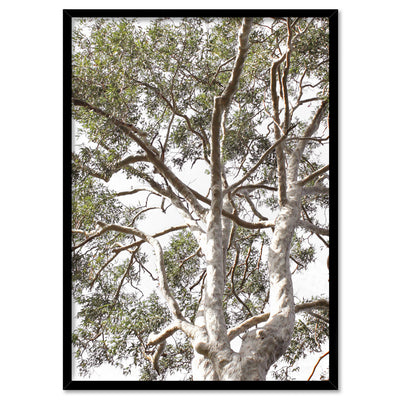 Gumtrees View II - Art Print, Poster, Stretched Canvas, or Framed Wall Art Print, shown in a black frame