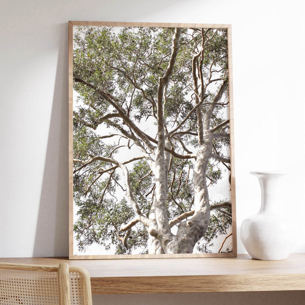 Gumtrees View II - Art Print, Poster, Stretched Canvas or Framed Wall Art Prints, shown framed in a room