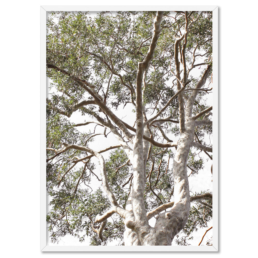 Gumtrees View II - Art Print, Poster, Stretched Canvas, or Framed Wall Art Print, shown in a white frame