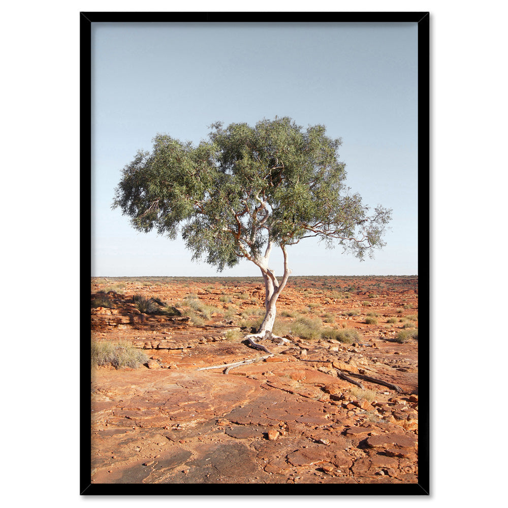Lone Gumtree Outback View II - Art Print, Poster, Stretched Canvas, or Framed Wall Art Print, shown in a black frame