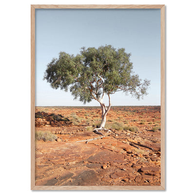 Lone Gumtree Outback View II - Art Print, Poster, Stretched Canvas, or Framed Wall Art Print, shown in a natural timber frame