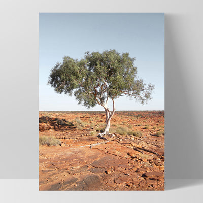Lone Gumtree Outback View II - Art Print, Poster, Stretched Canvas, or Framed Wall Art Print, shown as a stretched canvas or poster without a frame