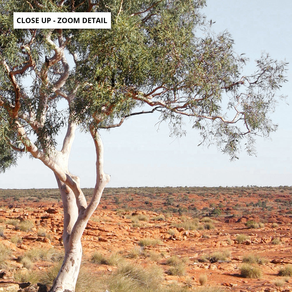 Lone Gumtree Outback View II - Art Print, Poster, Stretched Canvas or Framed Wall Art, Close up View of Print Resolution