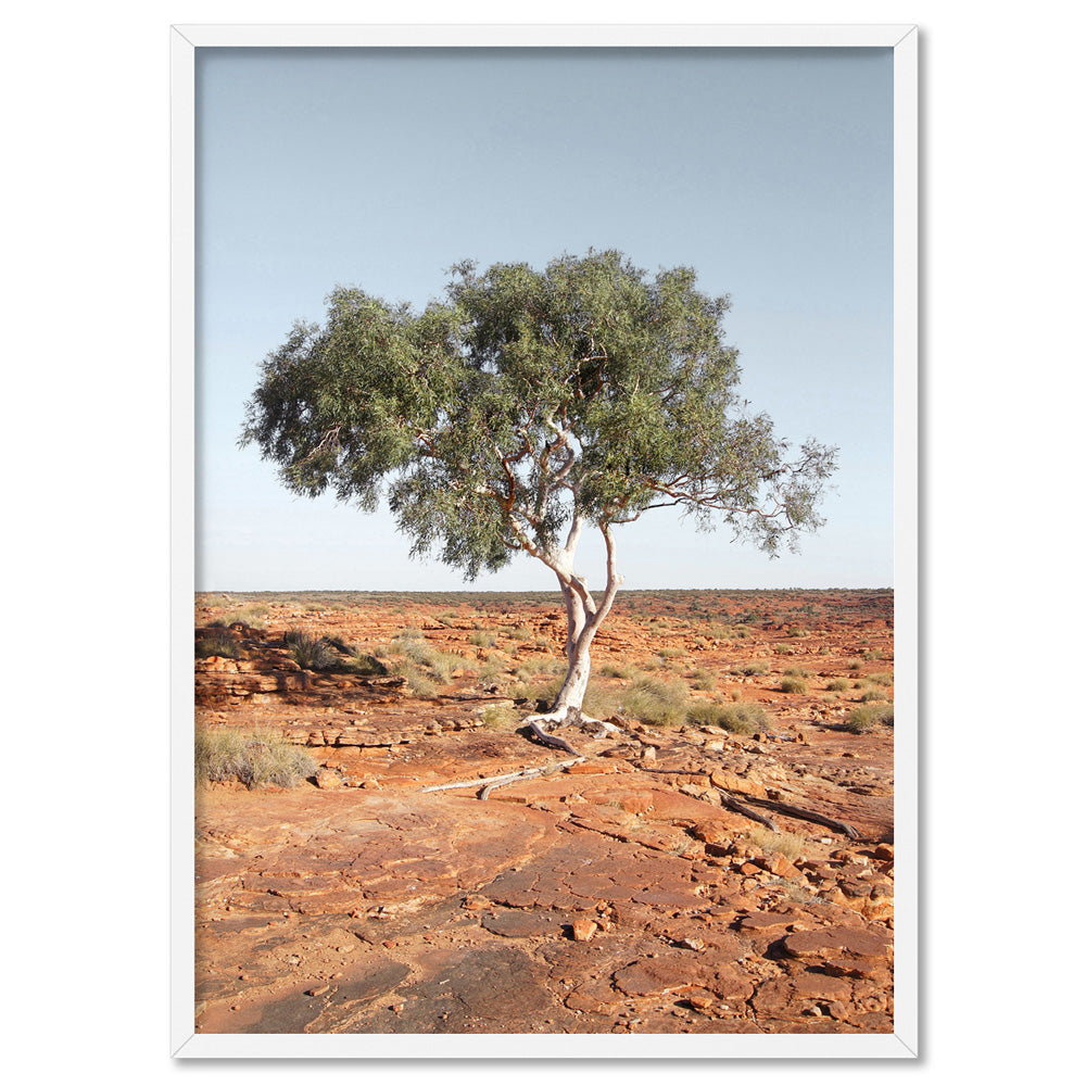 Lone Gumtree Outback View II - Art Print, Poster, Stretched Canvas, or Framed Wall Art Print, shown in a white frame