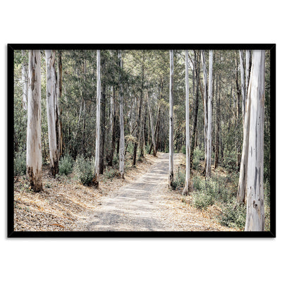 Into the Gumtrees - Art Print, Poster, Stretched Canvas, or Framed Wall Art Print, shown in a black frame