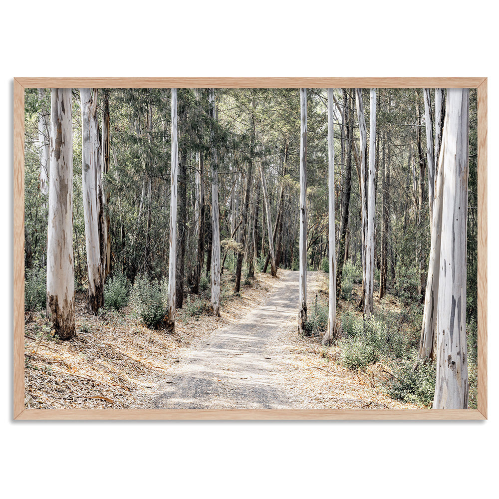 Into the Gumtrees - Art Print, Poster, Stretched Canvas, or Framed Wall Art Print, shown in a natural timber frame