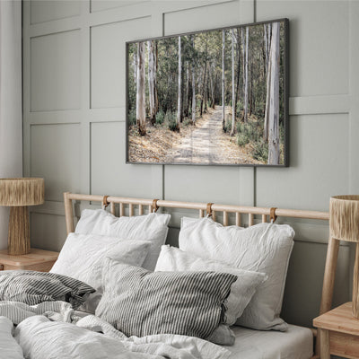 Into the Gumtrees - Art Print, Poster, Stretched Canvas or Framed Wall Art Prints, shown framed in a room
