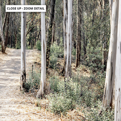 Into the Gumtrees - Art Print, Poster, Stretched Canvas or Framed Wall Art, Close up View of Print Resolution