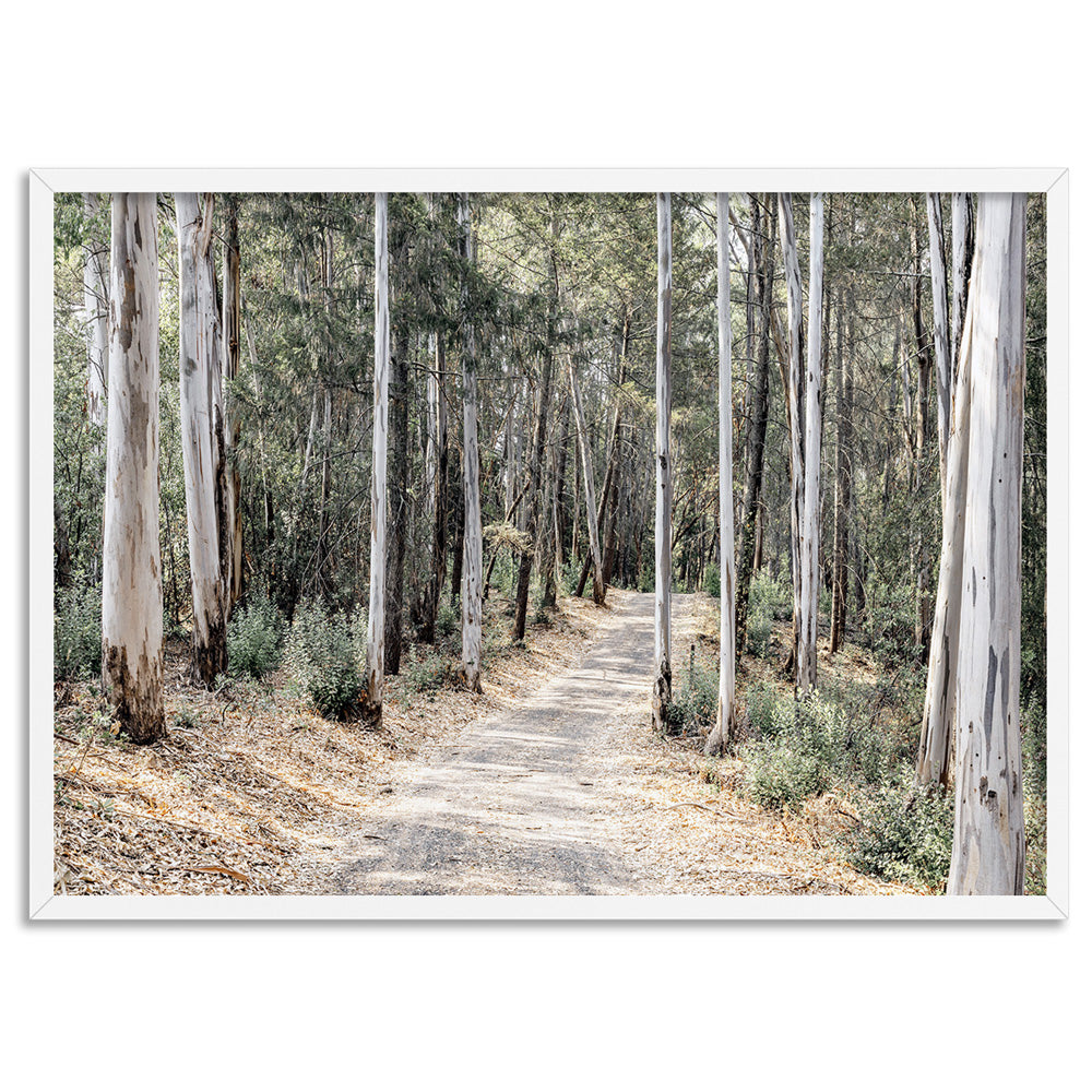 Into the Gumtrees - Art Print, Poster, Stretched Canvas, or Framed Wall Art Print, shown in a white frame