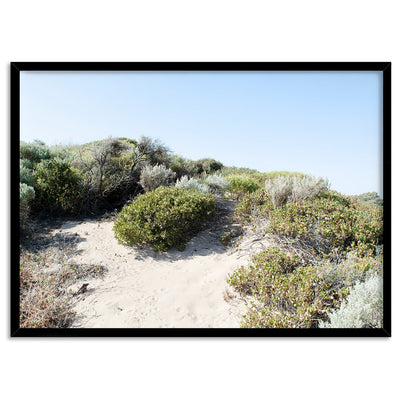 Sand Dune Botanicals Perth I - Art Print, Poster, Stretched Canvas, or Framed Wall Art Print, shown in a black frame