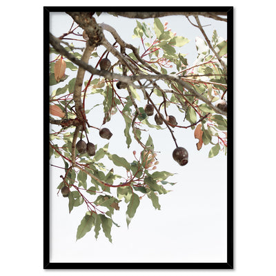 Leaves & Gumnuts - Art Print, Poster, Stretched Canvas, or Framed Wall Art Print, shown in a black frame