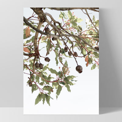 Leaves & Gumnuts - Art Print, Poster, Stretched Canvas, or Framed Wall Art Print, shown as a stretched canvas or poster without a frame