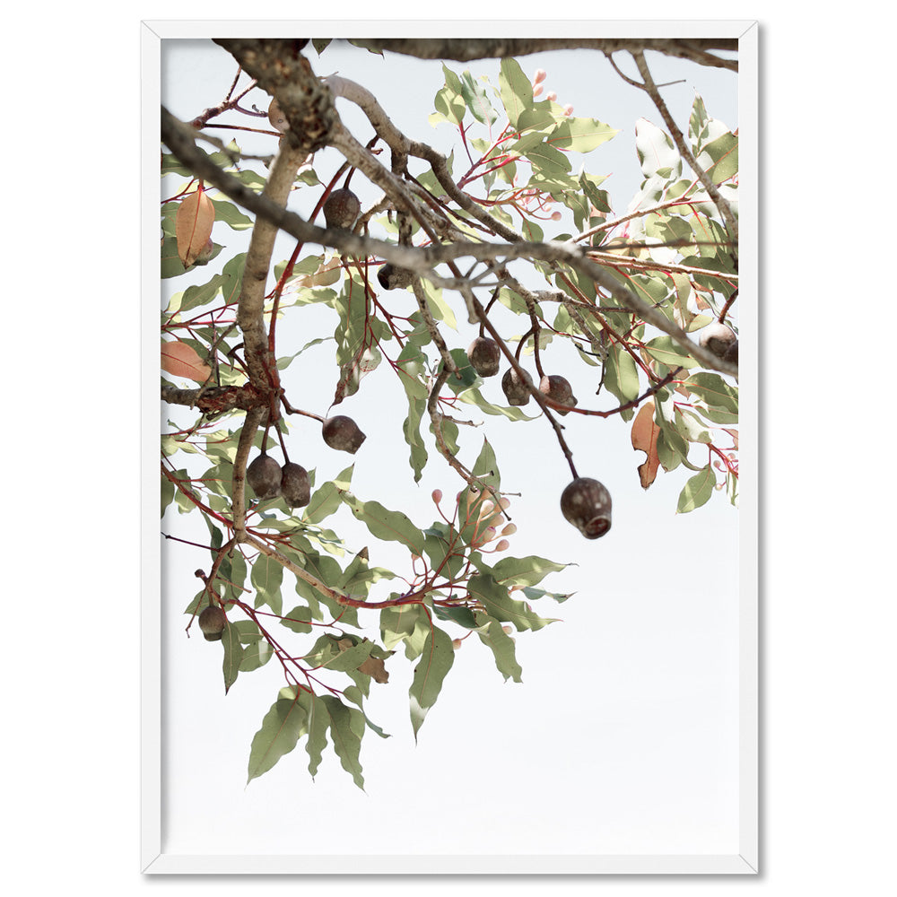 Leaves & Gumnuts - Art Print, Poster, Stretched Canvas, or Framed Wall Art Print, shown in a white frame