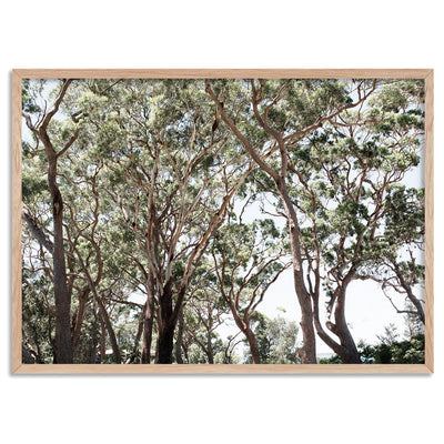 Among the Gumtrees II - Art Print, Poster, Stretched Canvas, or Framed Wall Art Print, shown in a natural timber frame
