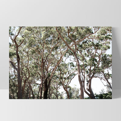 Among the Gumtrees II - Art Print, Poster, Stretched Canvas, or Framed Wall Art Print, shown as a stretched canvas or poster without a frame