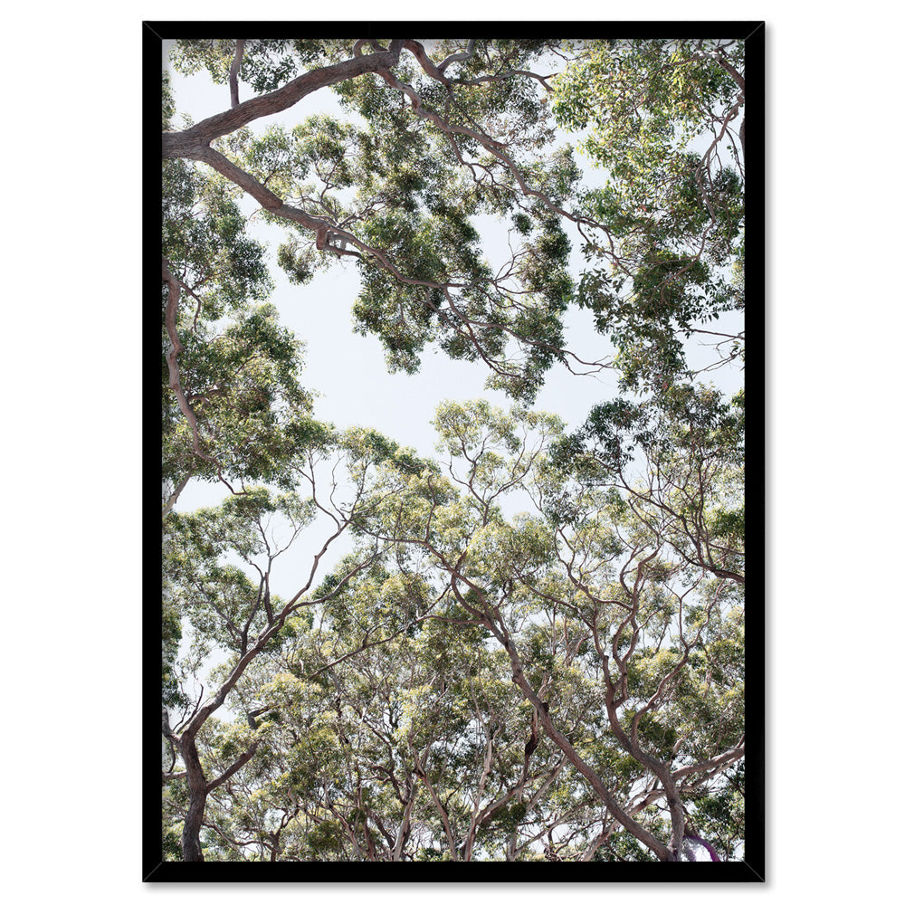Gumtrees View III - Art Print, Poster, Stretched Canvas, or Framed Wall Art Print, shown in a black frame