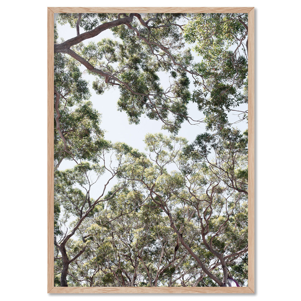 Gumtrees View III - Art Print, Poster, Stretched Canvas, or Framed Wall Art Print, shown in a natural timber frame