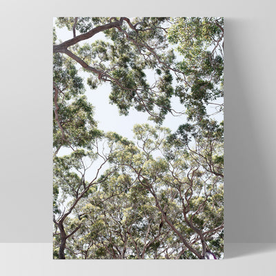 Gumtrees View III - Art Print, Poster, Stretched Canvas, or Framed Wall Art Print, shown as a stretched canvas or poster without a frame