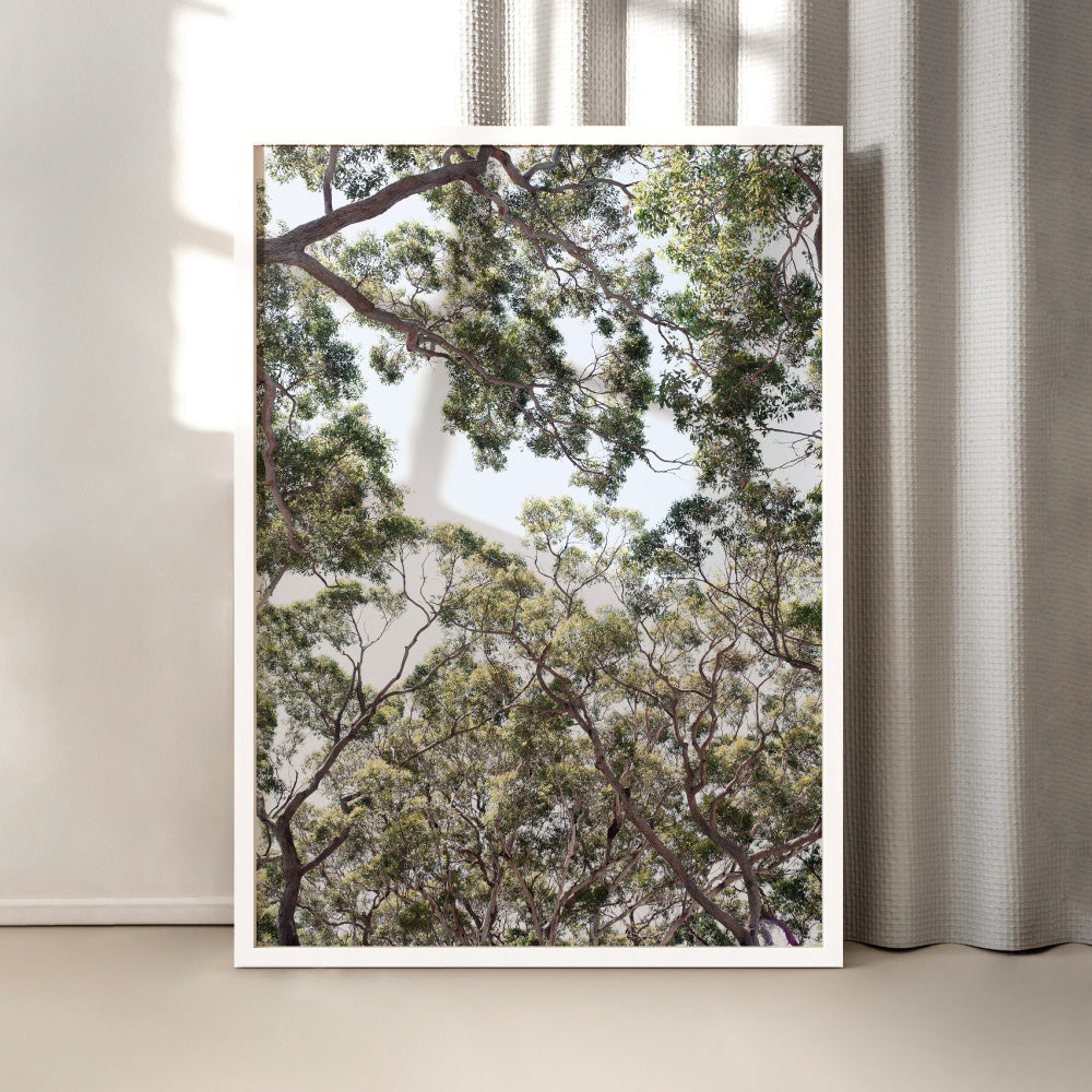 Gumtrees View III - Art Print, Poster, Stretched Canvas or Framed Wall Art Prints, shown framed in a room