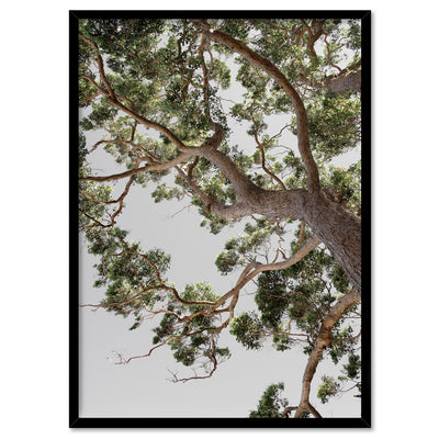 Majestic Gum I - Art Print, Poster, Stretched Canvas, or Framed Wall Art Print, shown in a black frame