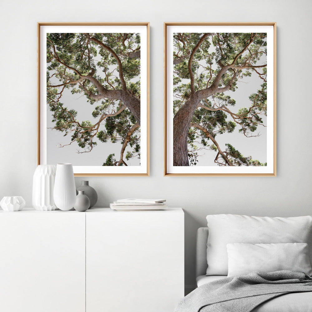 Majestic Gum I - Art Print, Poster, Stretched Canvas or Framed Wall Art, shown framed in a home interior space