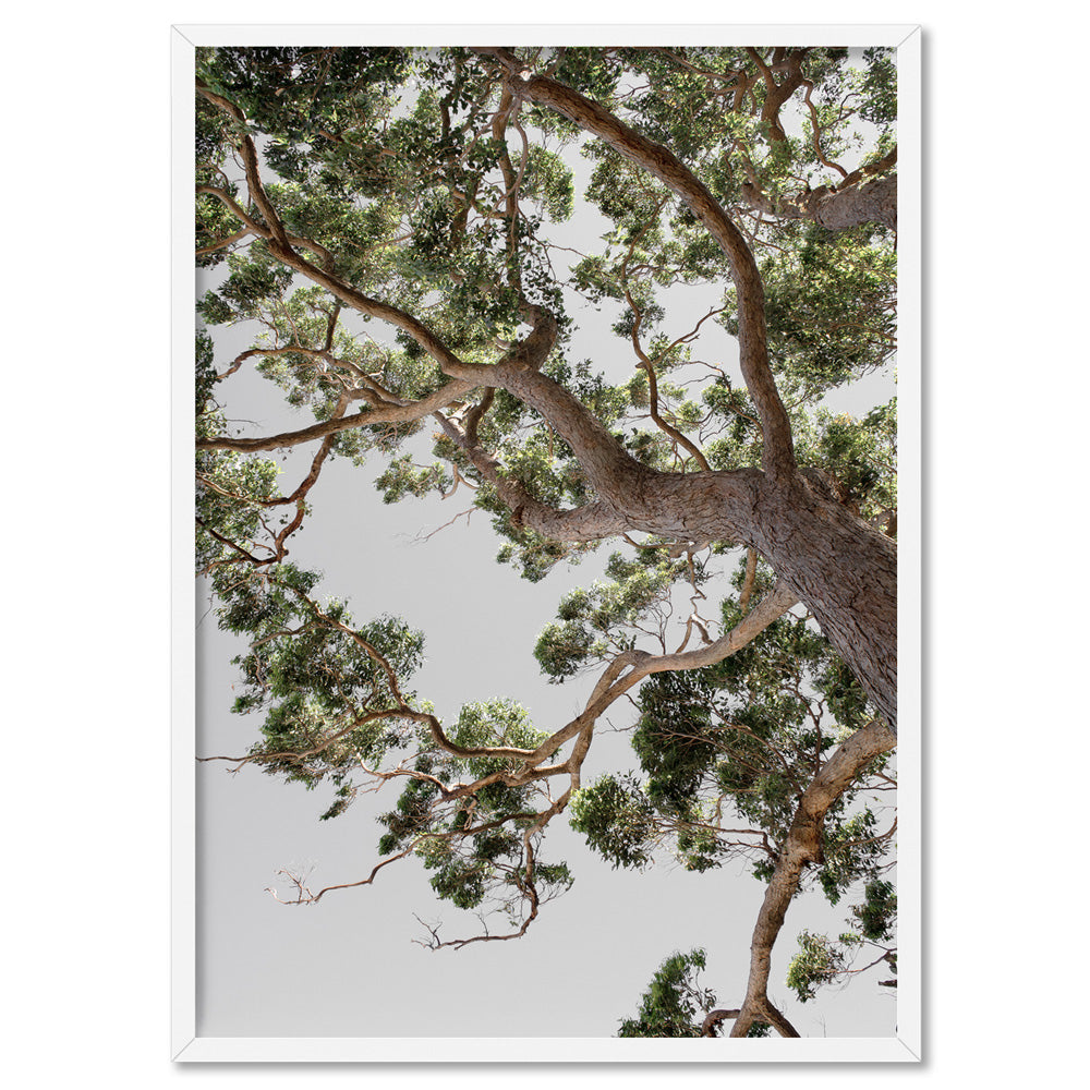 Majestic Gum I - Art Print, Poster, Stretched Canvas, or Framed Wall Art Print, shown in a white frame