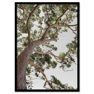 Majestic Gum II - Art Print, Poster, Stretched Canvas, or Framed Wall Art Print, shown in a black frame