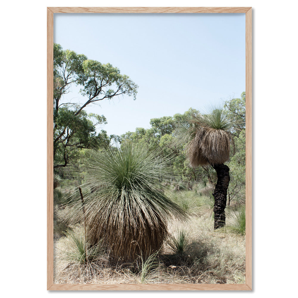 Australian Bush Grass Trees I - Art Print, Poster, Stretched Canvas, or Framed Wall Art Print, shown in a natural timber frame