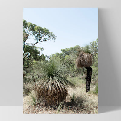 Australian Bush Grass Trees I - Art Print, Poster, Stretched Canvas, or Framed Wall Art Print, shown as a stretched canvas or poster without a frame