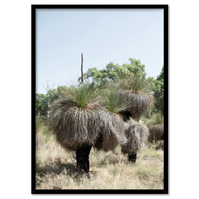 Australian Bush Grass Trees II - Art Print, Poster, Stretched Canvas, or Framed Wall Art Print, shown in a black frame