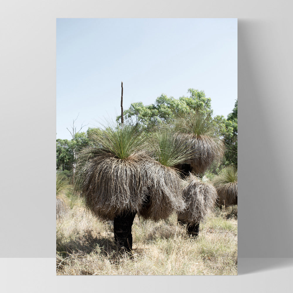 Australian Bush Grass Trees II - Art Print, Poster, Stretched Canvas, or Framed Wall Art Print, shown as a stretched canvas or poster without a frame