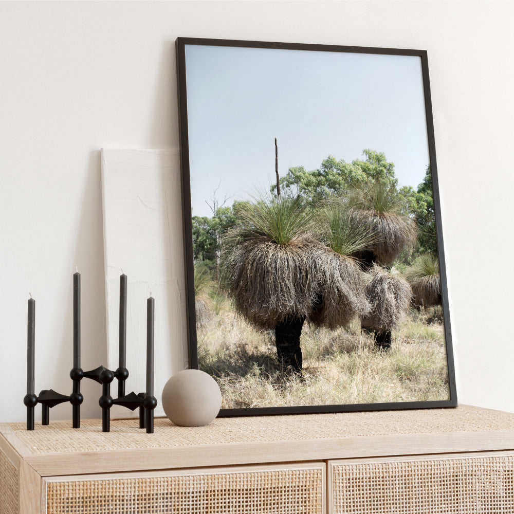 Australian Bush Grass Trees II - Art Print, Poster, Stretched Canvas or Framed Wall Art Prints, shown framed in a room