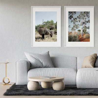 Australian Bush Grass Trees II - Art Print, Poster, Stretched Canvas or Framed Wall Art, shown framed in a home interior space