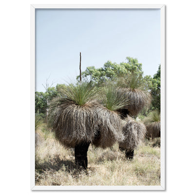 Australian Bush Grass Trees II - Art Print, Poster, Stretched Canvas, or Framed Wall Art Print, shown in a white frame