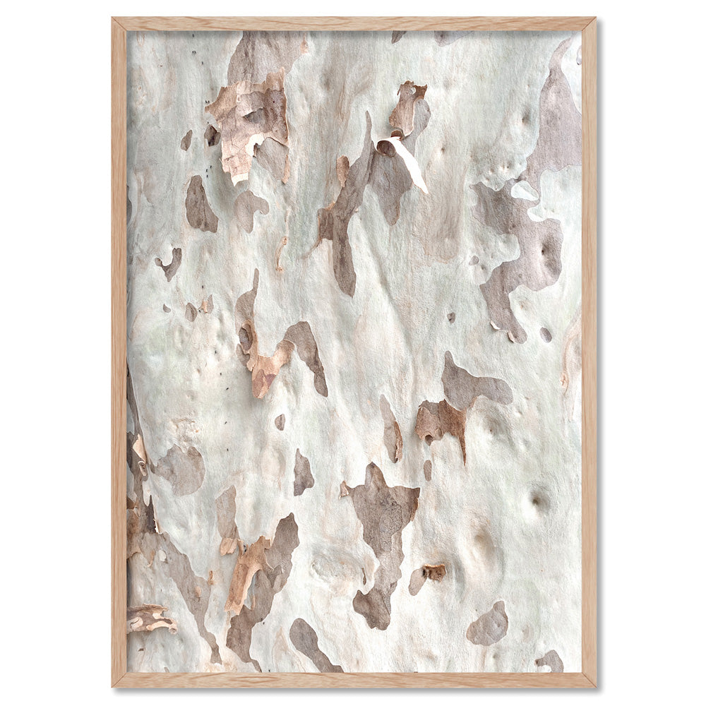 Gumtree | Ghost Gum Bark - Art Print, Poster, Stretched Canvas, or Framed Wall Art Print, shown in a natural timber frame
