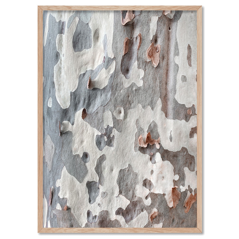 Gumtree | Blue Gum Bark II - Art Print, Poster, Stretched Canvas, or Framed Wall Art Print, shown in a natural timber frame